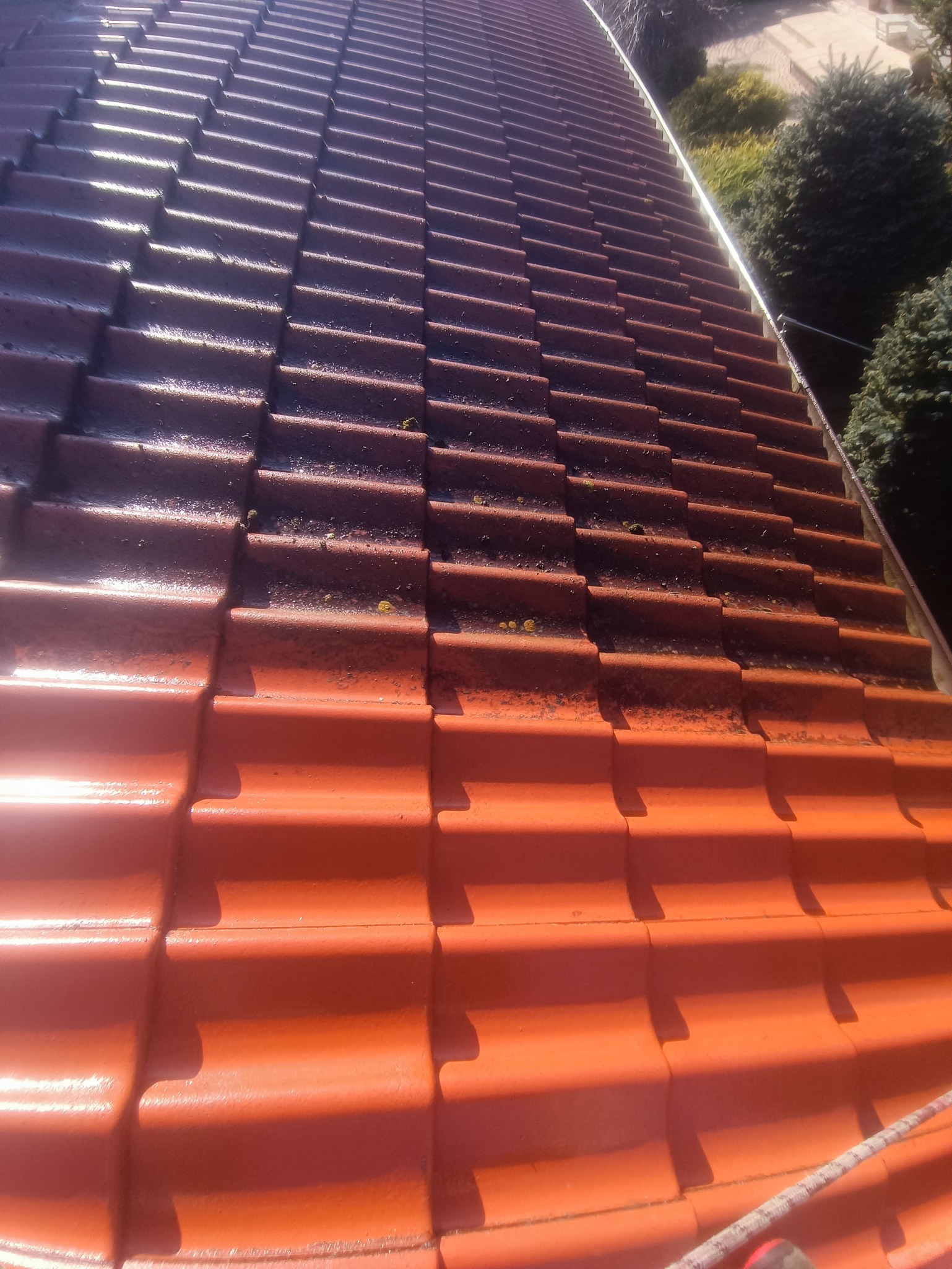 Częściowo wyczyszczony dach z czerwonej dachówki ceramicznej, na górze widoczny ciemny nalot, na dole czysta, jaskrawa powierzchnia, widok z góry.