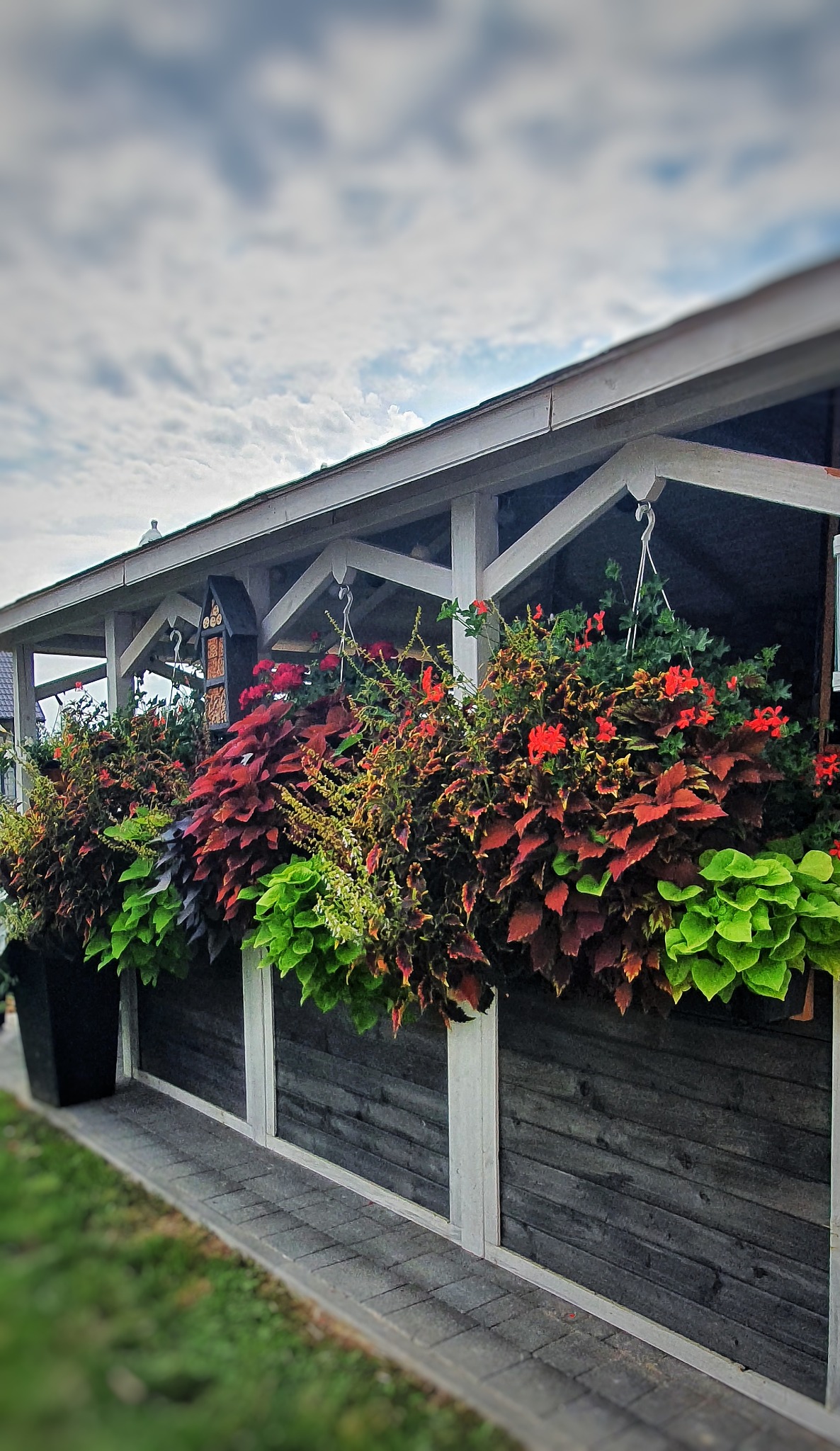 Dekoracyjne skrzynki z kolorowymi kwiatami i roślinami zamontowane pod okapem drewnianej konstrukcji, widoczne z perspektywy chodnika.