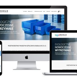 Tworzenie stron internetowych Kraków 1