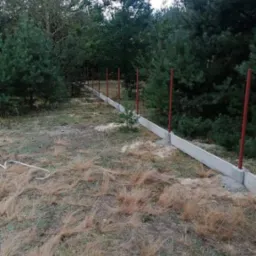 Wznoszenie betonowej podmurówki ogrodzeniowej z czerwonymi słupkami w zarośniętym ogrodzie, widok z poziomu gruntu na tle drzew.