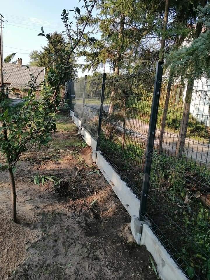 Nowo postawione ogrodzenie panelowe z podmurówką betonową na nierównym terenie, widok z boku, młode drzewko owocowe w pierwszym planie.