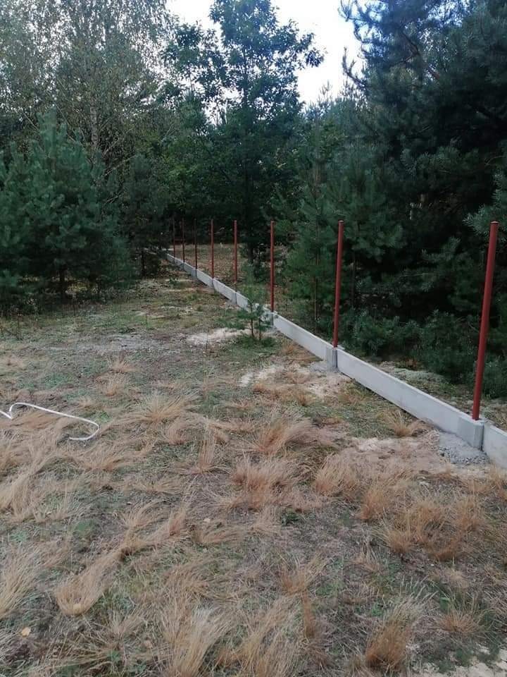 Wznoszenie betonowej podmurówki ogrodzeniowej z czerwonymi słupkami w zarośniętym ogrodzie, widok z poziomu gruntu na tle drzew.