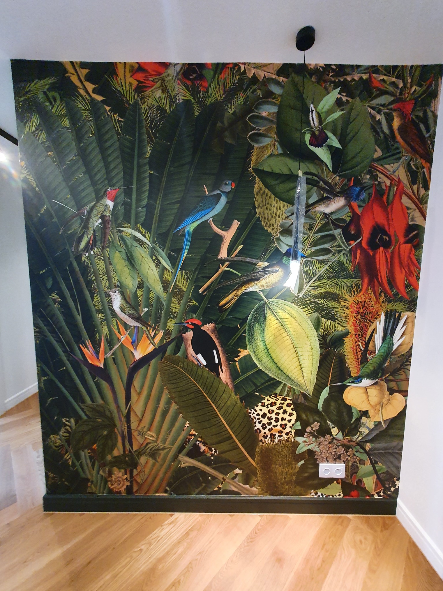 Ściana pokryta fototapetą z motywem tropikalnego lasu z egzotycznymi ptakami, kwiatami i liśćmi, widoczna wnęka z gniazdkiem elektrycznym przy podłodze.