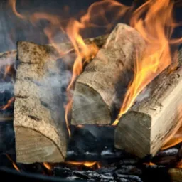 Płonące drewno kominkowe w palenisku, widoczne płomienie i dym