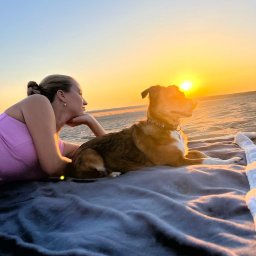 Wyprowadzanie psów Pszczyna 4