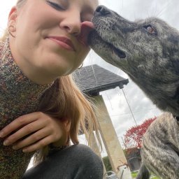 Wyprowadzanie psów Pszczyna 1