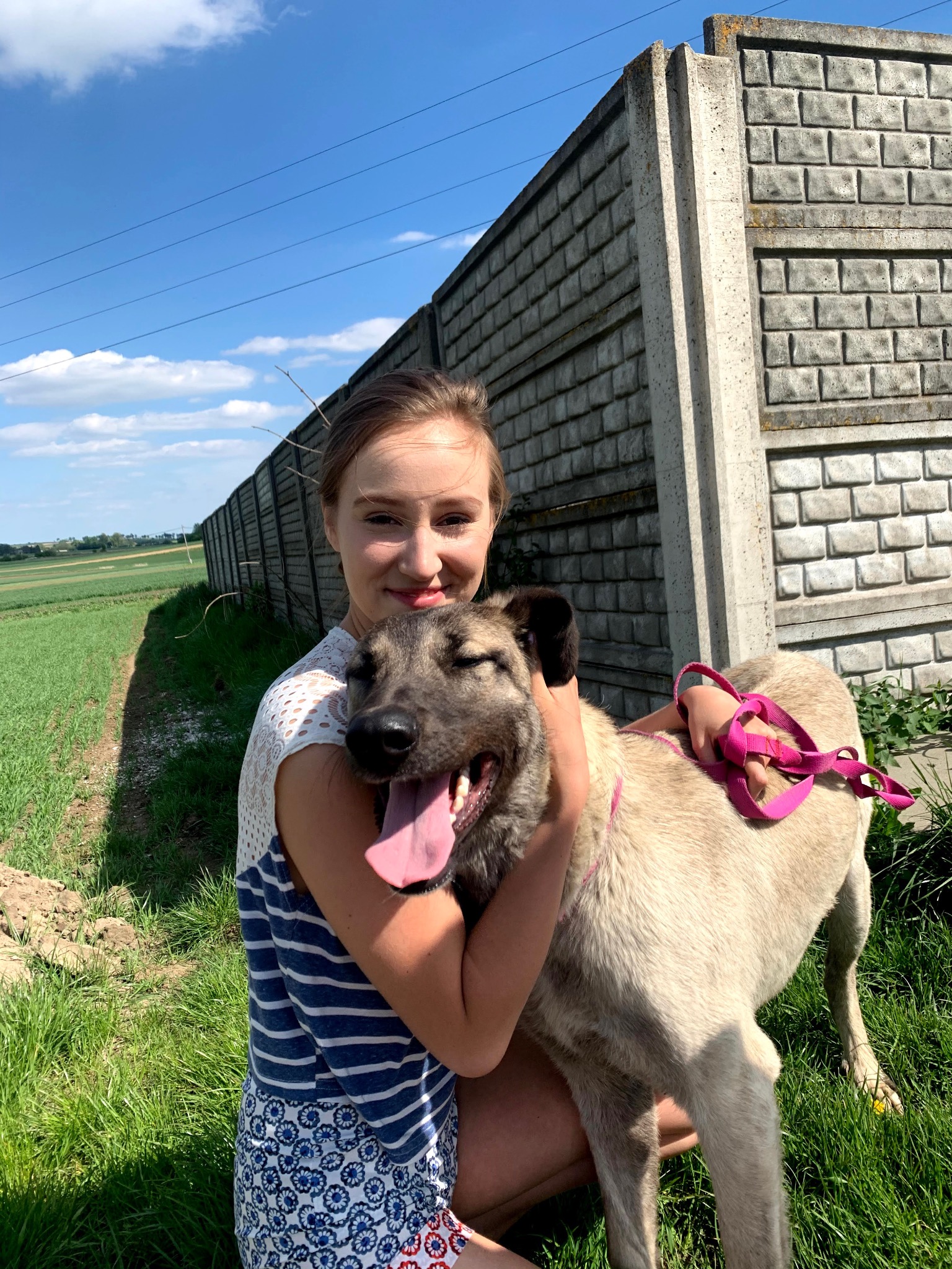 Uśmiechnięta dziewczyna przytula dużego psa z różową smyczą na tle betonowego muru i zielonego pola w słoneczny dzień.