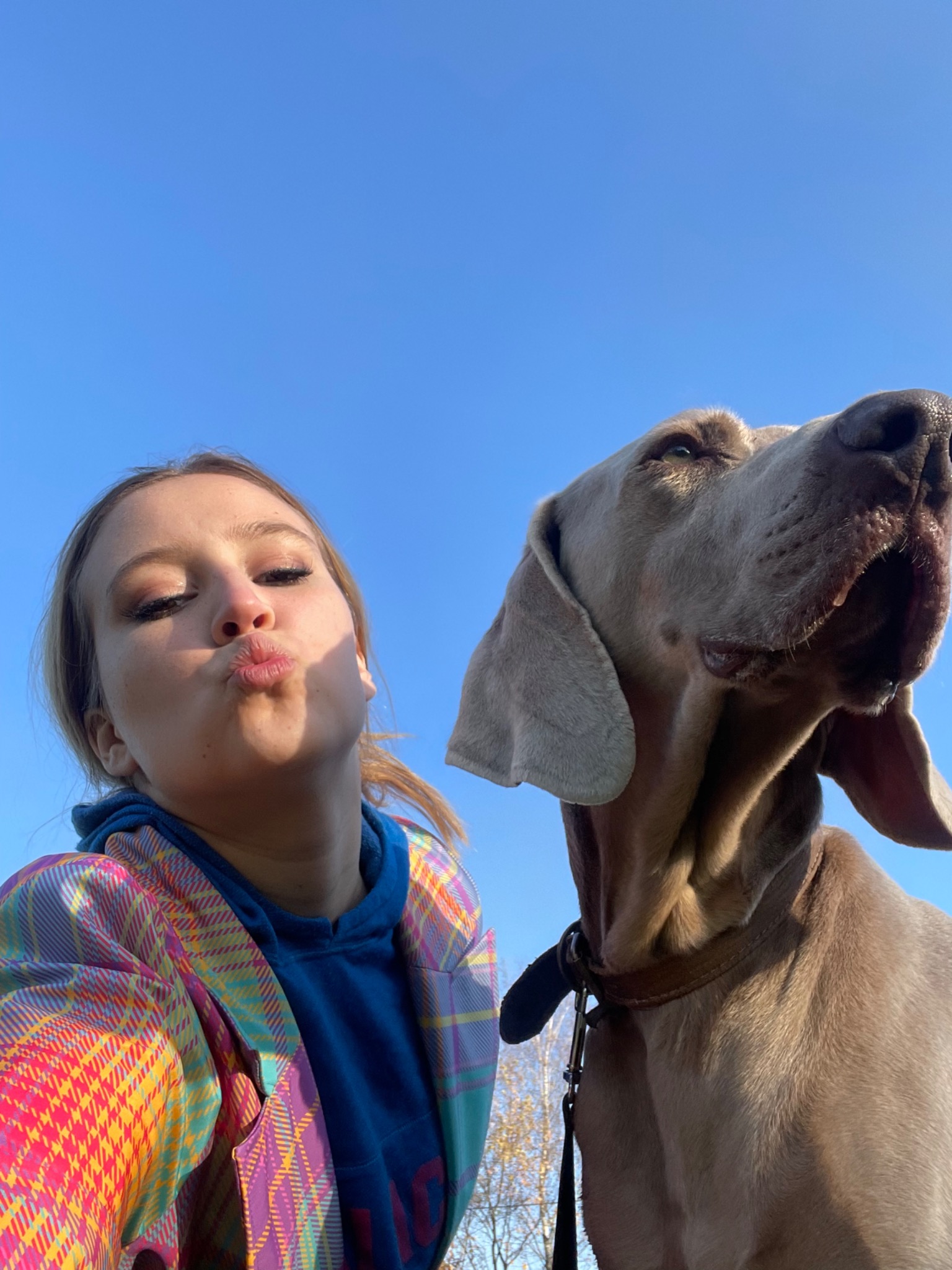 Selfie z psem rasy wyżeł weimarski na tle błękitnego nieba w Pszczynie, kobieta robi 'dziubek', pies patrzy w górę.