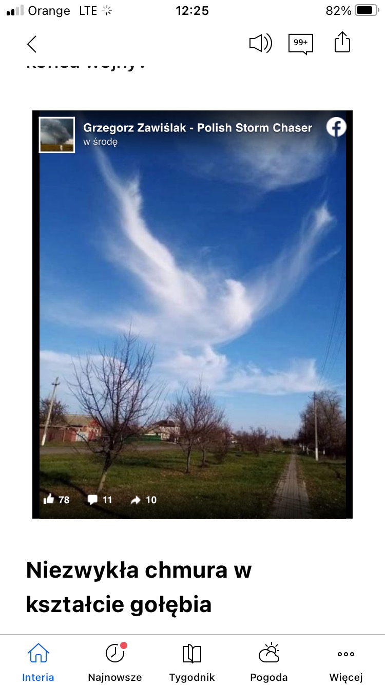 Niebieskie niebo z niezwykłą chmurą przypominającą gołębia, widziane z perspektywy ścieżki w parku z nagimi drzewami wczesną wiosną.