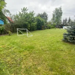 Rozległy, zadbany trawnik z młodą choinką przy tarasie domu, w tle biała bramka do piłki nożnej i mały, niebieski domek na drzewie.