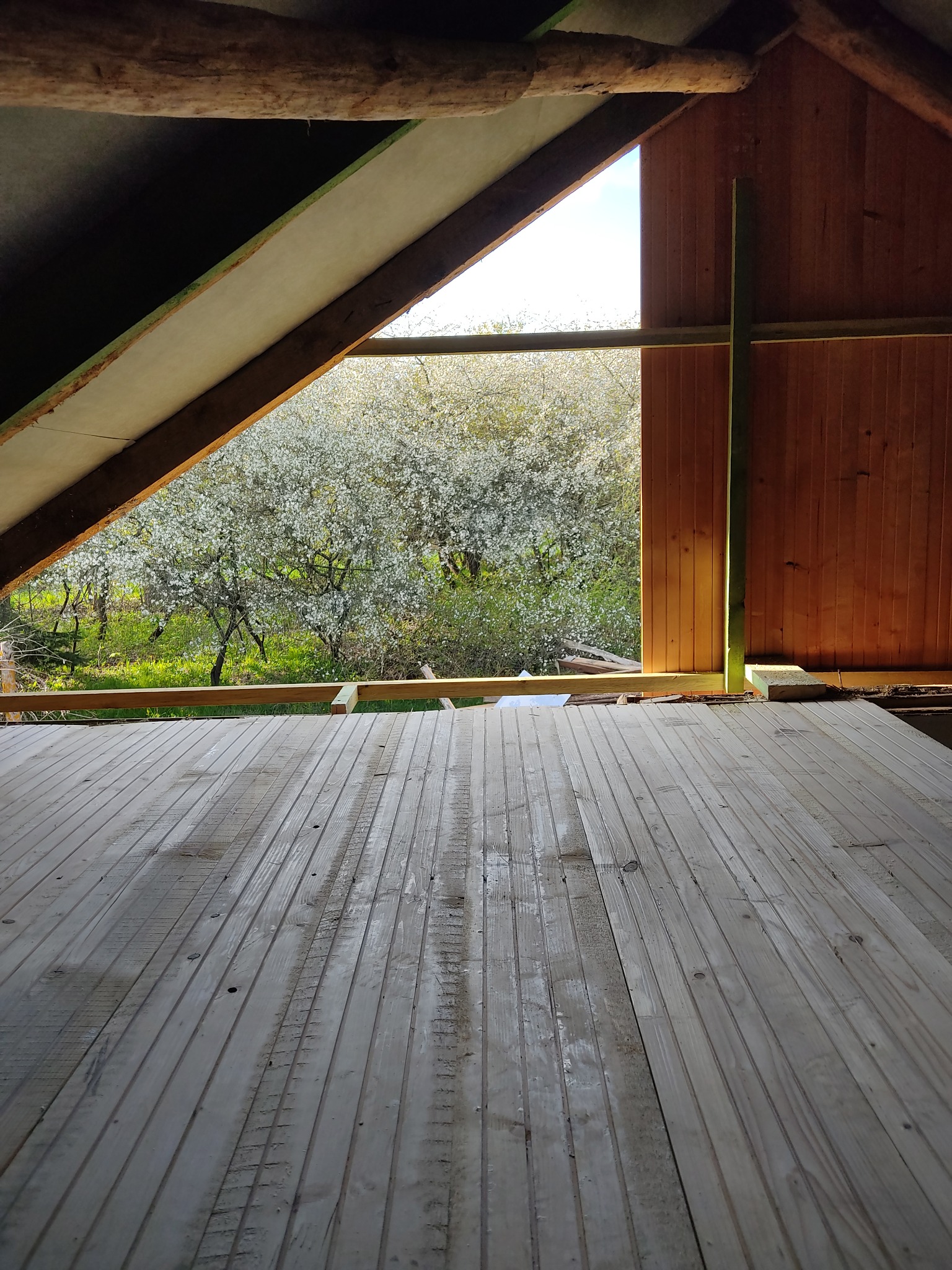 Wnętrze w trakcie budowy z widokiem na kwitnące drzewa przez niezabudowany otwór okienny, surowe drewniane deski podłogowe i fragment konstrukcji dachu.