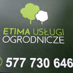 Etima usługi ogrodnicze - Wycinanie Drzew Włocławek