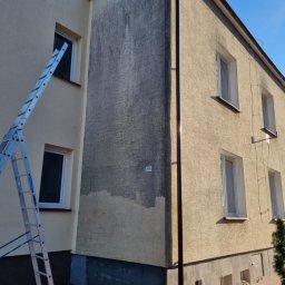 Pro Clean Cezary Woźniak - Częściowo umyta elewacja budynku z drabiny. Widoczny kontrast między czystą, jasną częścią a brudną, szarą. Prace w toku, słoneczny dzień.