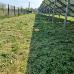 Trawa skoszona pod panelami słonecznymi, widoczny pojemnik na paliwo i ogrodzenie z siatki w tle.