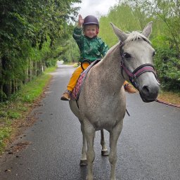 Na Koniu Po Zdrowie Jazda konna Olsztyn