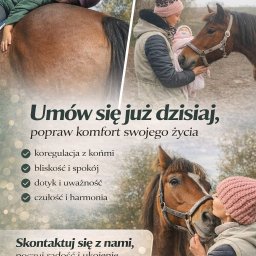 Stadniny i jazda konna Tomaszkowo 1