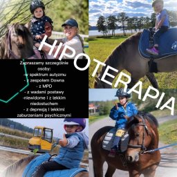 Stadniny i jazda konna Tomaszkowo 2