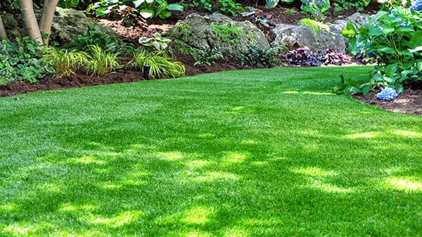 Idealnie równy trawnik z rolki, świeżo ułożony, z widocznymi nasadzeniami roślin wzdłuż krawędzi i dekoracyjnymi kamieniami w tle.