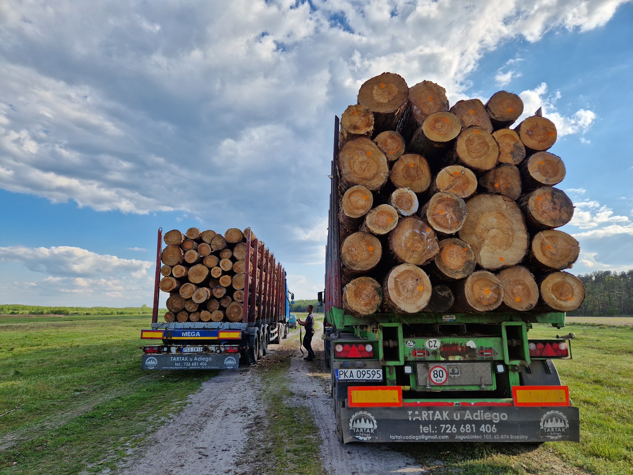 Dwa samochody ciężarowe załadowane okrąglakami z widocznymi pomarańczowymi oznaczeniami na przekroju, stojące na polnej drodze pod błękitnym niebem z chmurami.