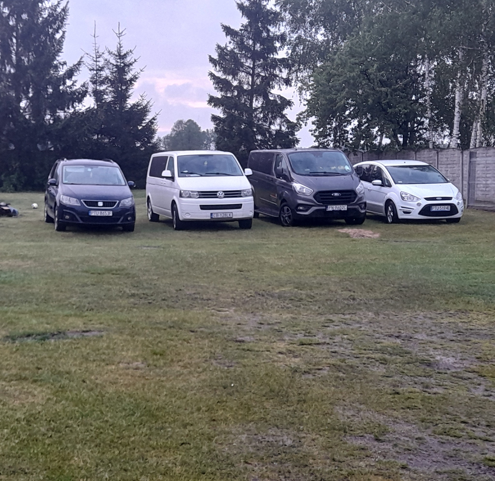 Cztery zaparkowane samochody osobowe i busy różnych marek (Seat, Volkswagen, Ford) na trawiastym terenie, z widocznym fragmentem ogrodzenia i drzew w tle.