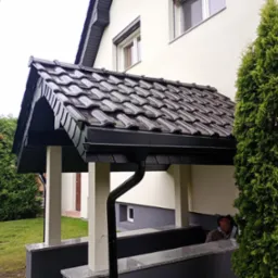 Zadaszenie nad wejściem do domu z ciemną dachówką, czarną rynną i jasnymi kolumnami. Obok rośnie wysoka tuja. Widoczna elewacja w jasnym odcieniu.