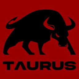 Taurus-Bud - Układanie Kostki Granitowej Lublin