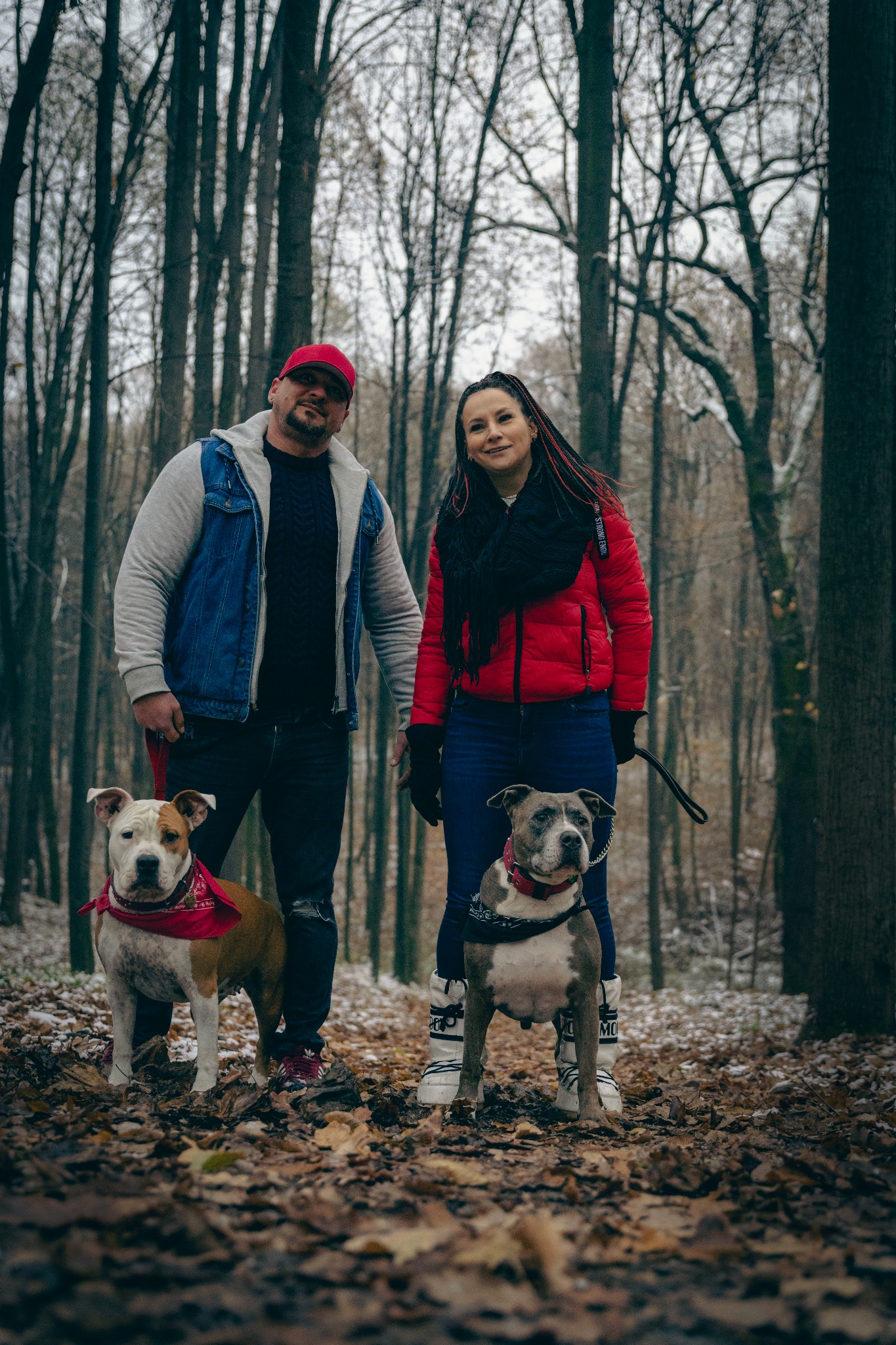 Para z dwoma psami rasy staffordshire bull terrier w lesie, mężczyzna w dżinsowej kurtce i czerwonej czapce, kobieta w czerwonej kurtce puchowej i śniegowcach Moon Boot, jesienne liście na ziemi...