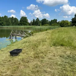 Świeżo skoszona trawa przy brzegu jeziora z drewnianym pomostem i czarnym pojemnikiem, widok na drzewa i błękitne niebo z obłokami.