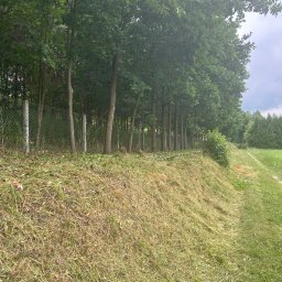 Damian Cichański - Rząd młodych drzew posadzonych wzdłuż ogrodzenia z siatki, świeżo skoszona trawa na skarpie i ścieżka przez łąkę w tle.