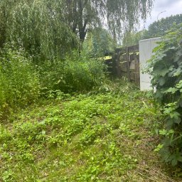 Damian Cichański - Zarośnięty ogród z powalonymi gałęziami i świeżo skoszoną trawą przy drewnianym płocie i białej budce narzędziowej pod zwisającą wierzbą.