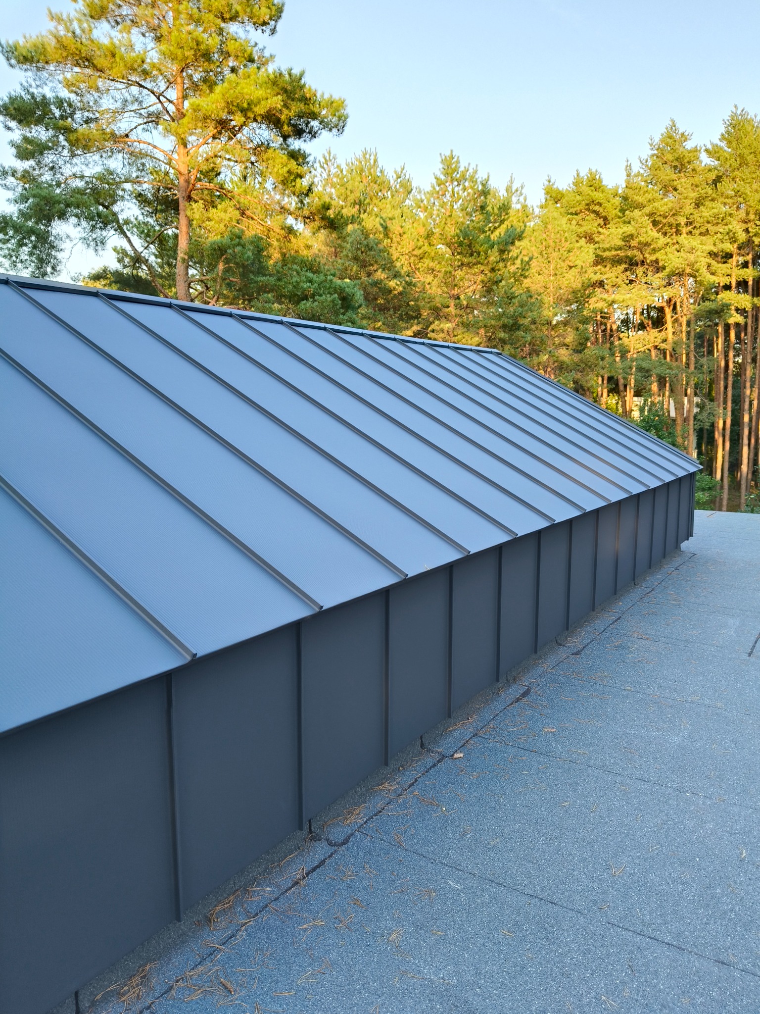 Nowoczesne, grafitowe krycie dachu z blachy na tle zielonego lasu. Widoczne precyzyjne łączenia i estetyczne wykończenie. Ujęcie z dołu, podkreślające geometrię.