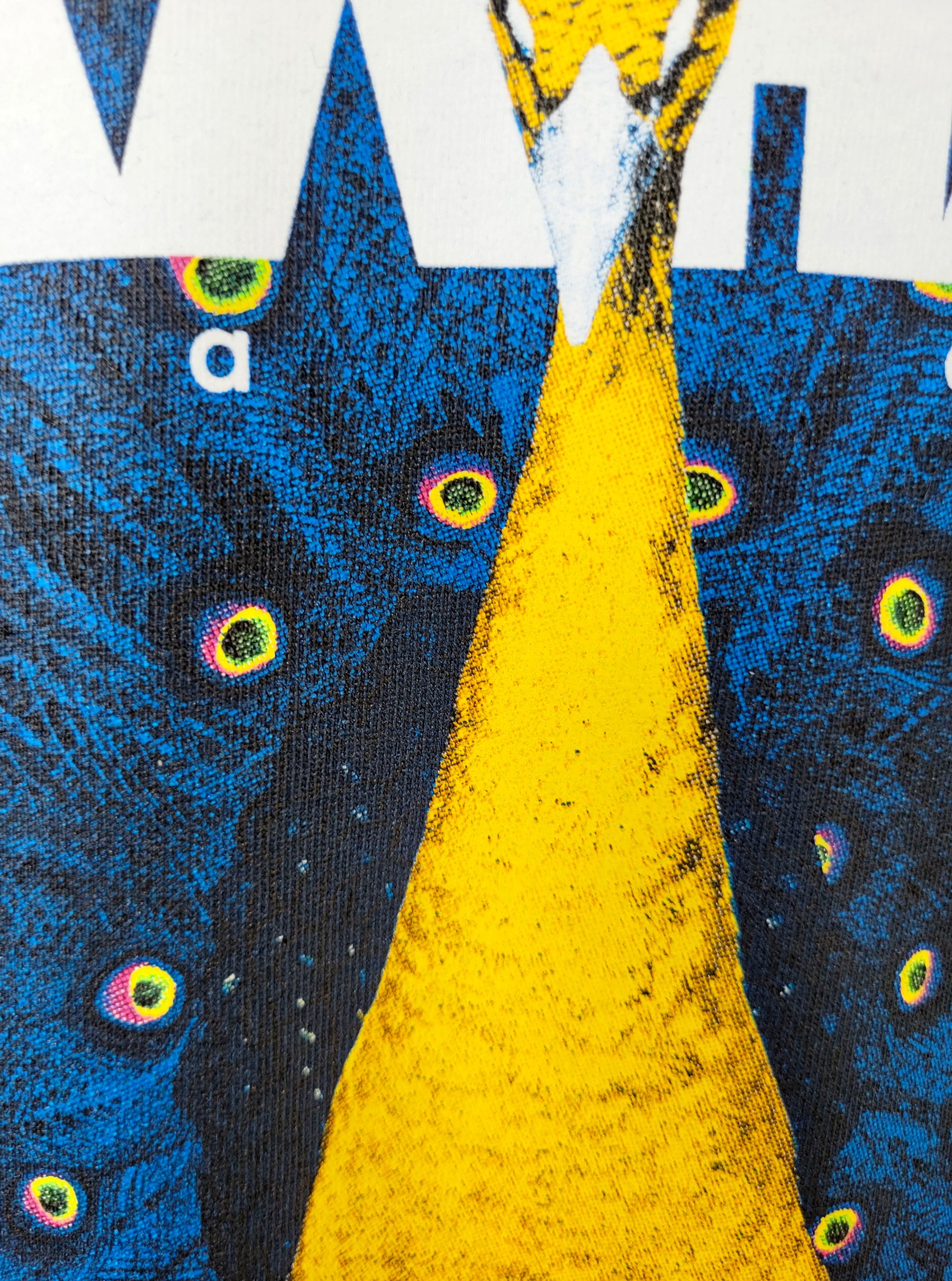 Fragment białej koszulki z nadrukiem stylizowanego pawia w kolorach niebieskim, żółtym i białym, z widocznym fragmentem napisu.