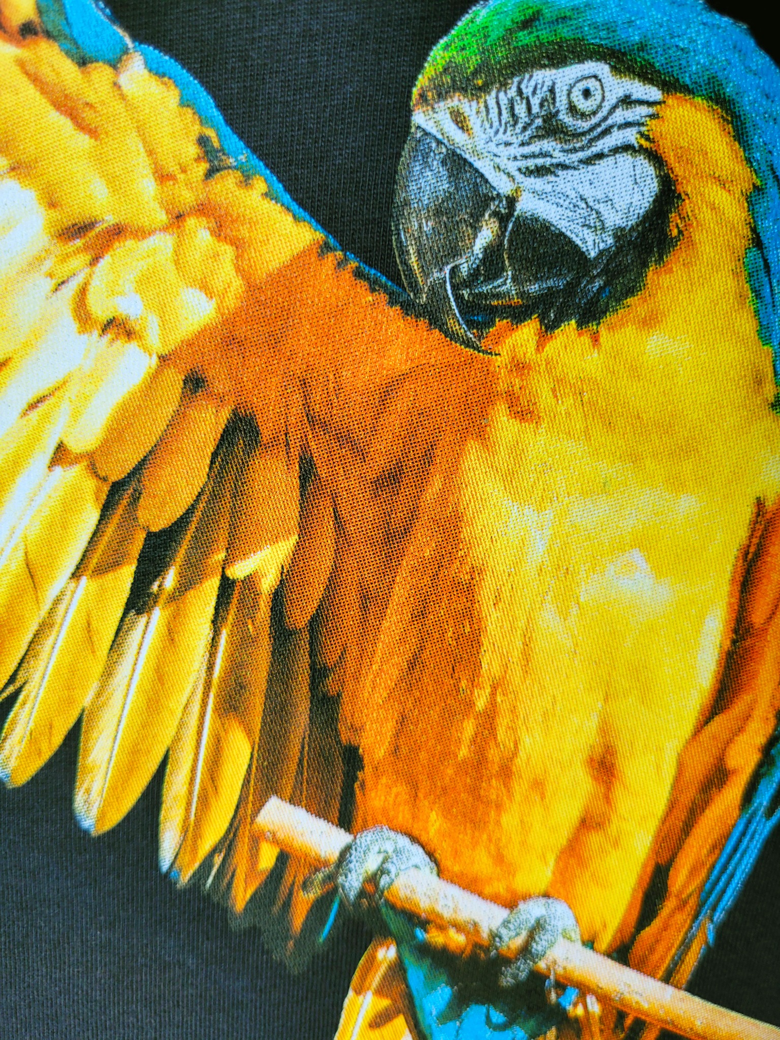 Zbliżenie na czarną koszulkę z nadrukiem kolorowej papugi ary na gałęzi, prezentującą detale splotu materiału i intensywność barw.