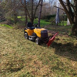 Usługa przycięcia żywopłotu mielenia gałęzi oraz równania terenu zrębkiem 