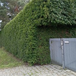 Piotrmaks - Wyjątkowe Wycinanie Drzew Nowy Tomyśl