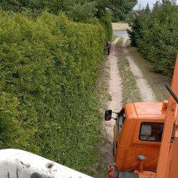 Piotr Obst - Przycinanie żywopłotu z podnośnika koszowego. Widok z góry na pomarańczowy samochód i pracownika w oddali, który formuje wysoki szpaler z tui przy polnej drodze.