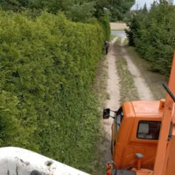 Przycinanie żywopłotu z podnośnika koszowego. Widok z góry na pomarańczowy samochód i pracownika w oddali, który formuje wysoki szpaler z tui przy polnej drodze.