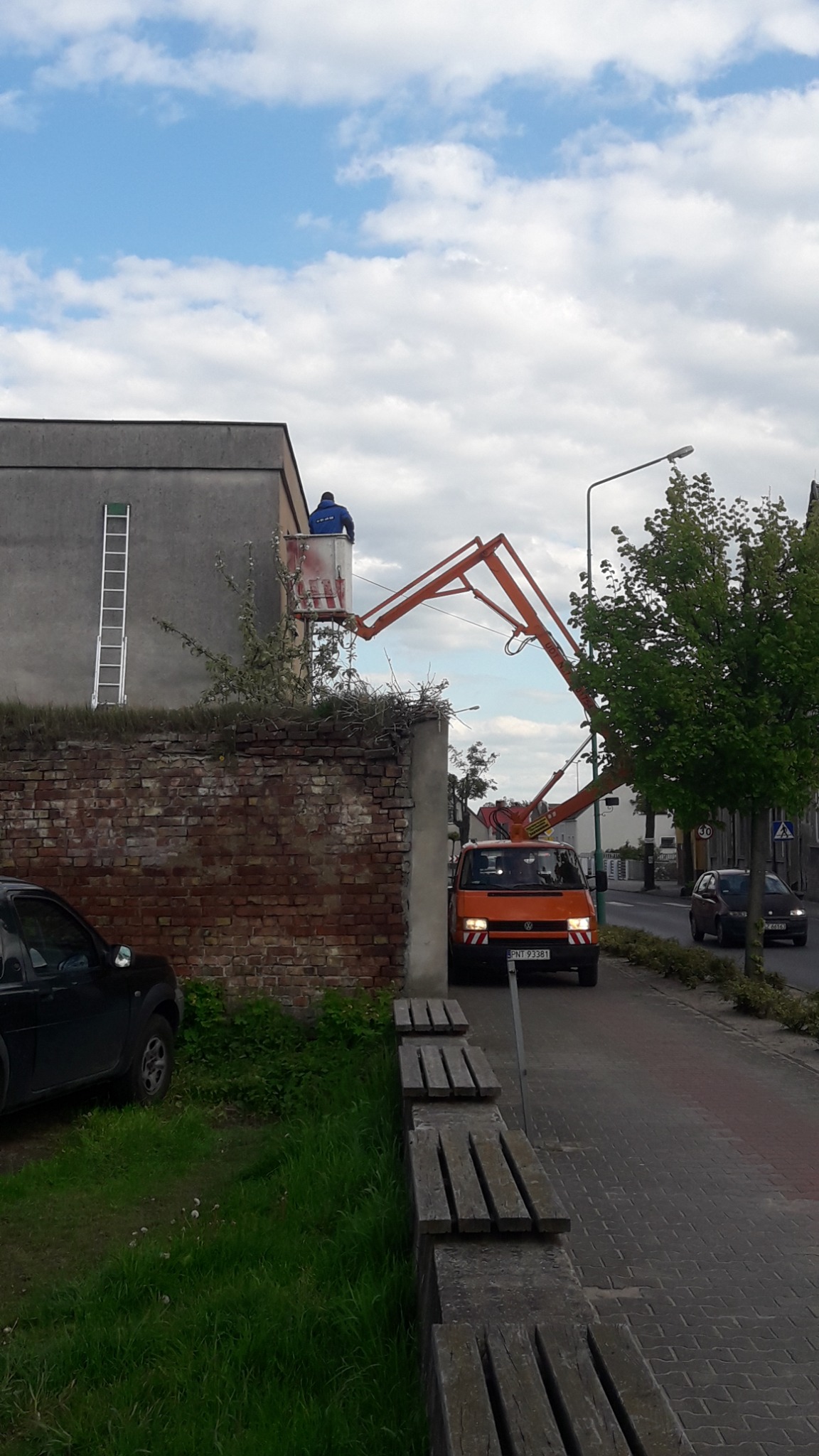 mycie, malowania prace instalacyjne i montażowe a także wycinkę drzew i krzewów