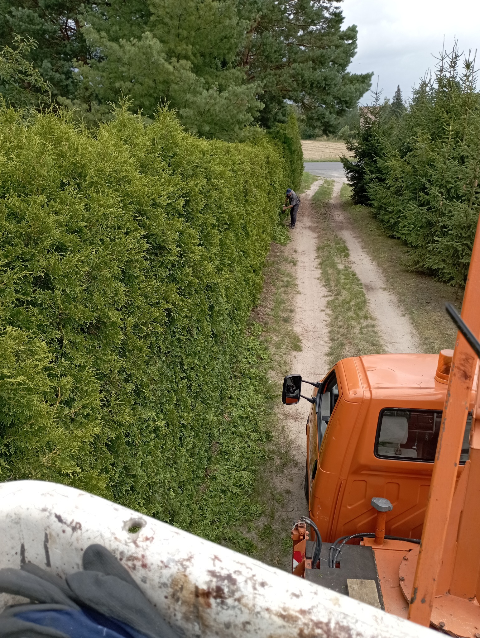 Przycinanie żywopłotu z podnośnika koszowego. Widok z góry na pomarańczowy samochód i pracownika w oddali, który formuje wysoki szpaler z tui przy polnej drodze.