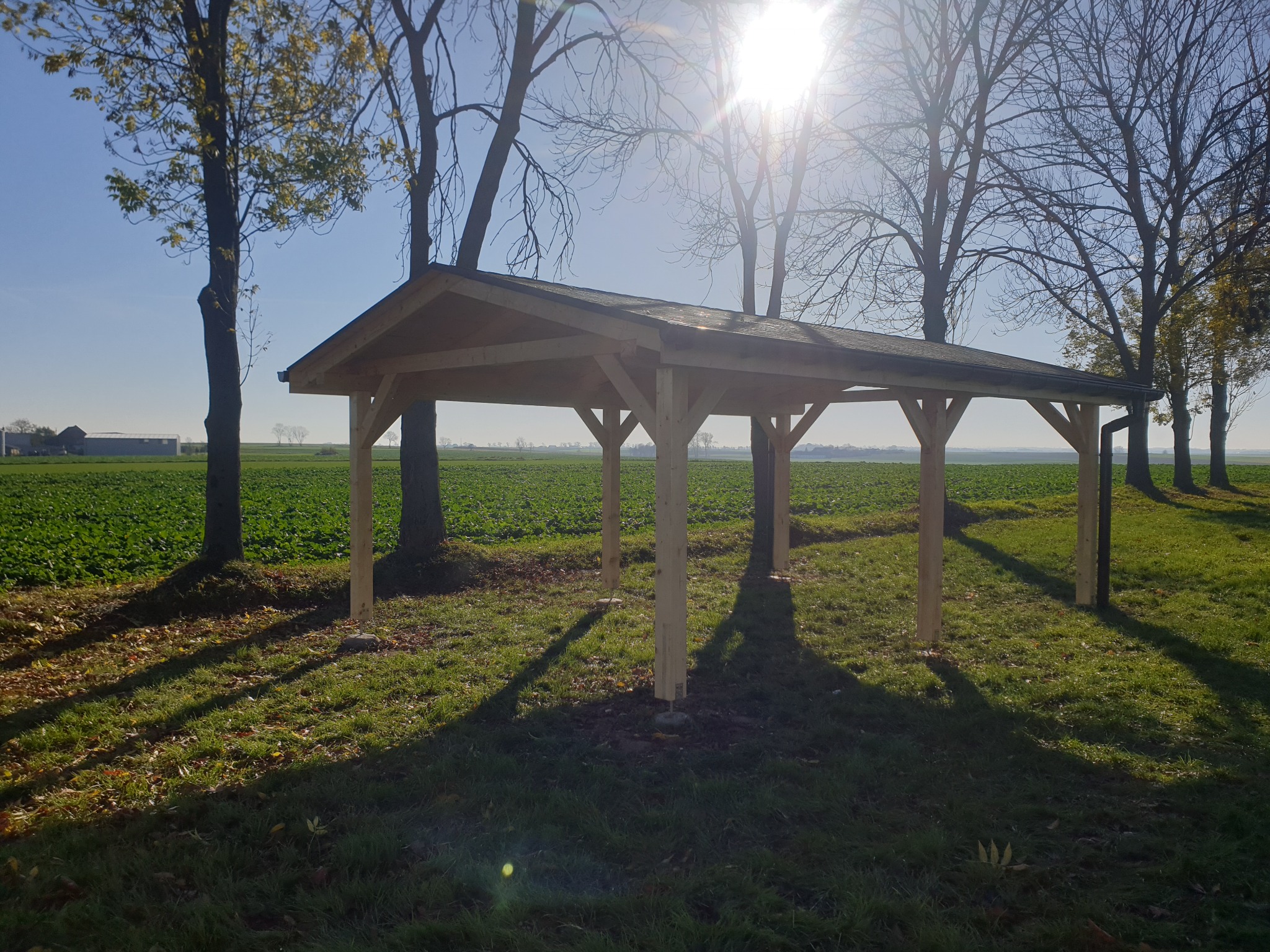 Surowa drewniana konstrukcja z zadaszeniem w Pszczynie, prawdopodobnie altana lub wiata, na tle zielonego pola i drzew w jesiennym słońcu.