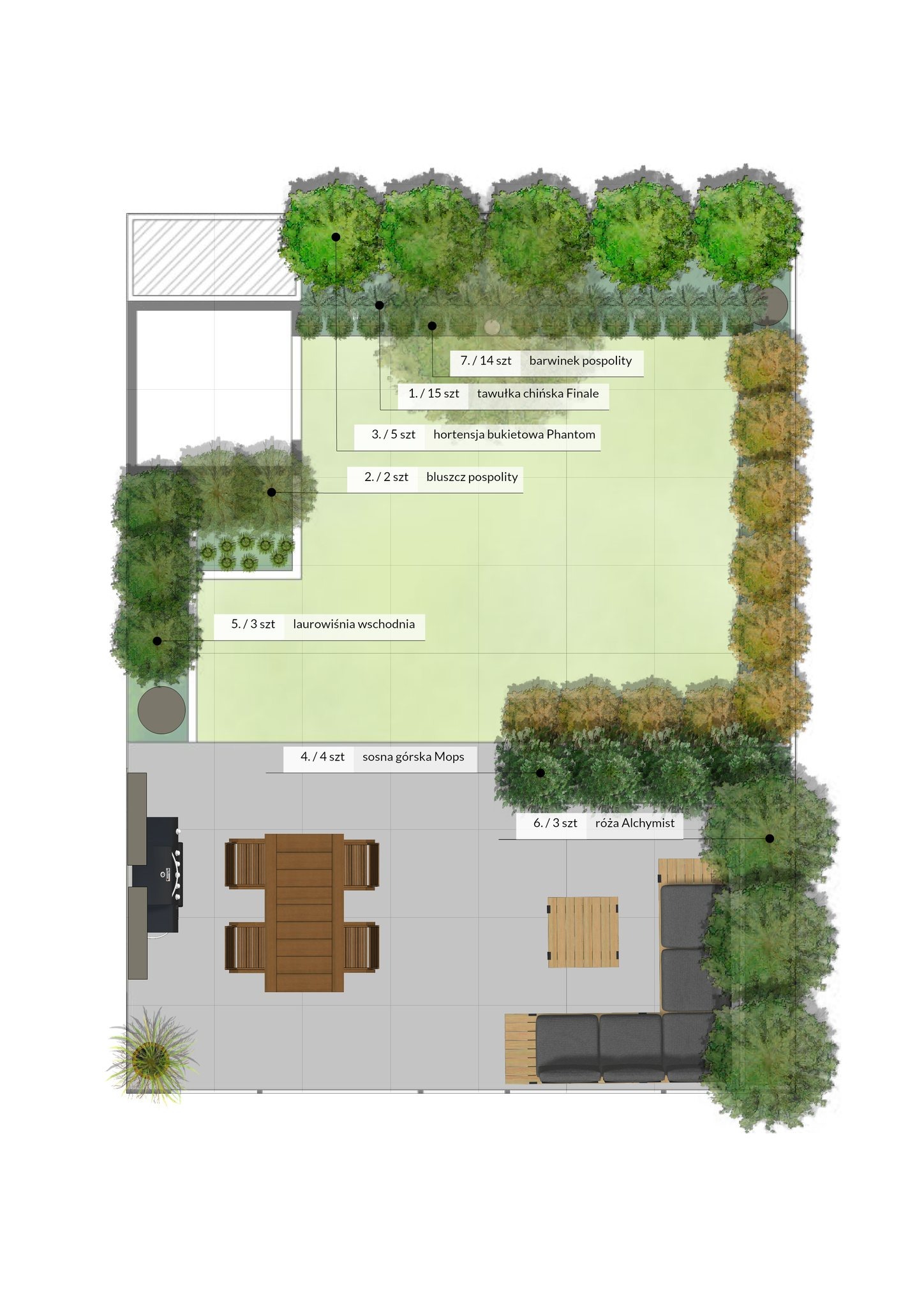 Plan zagospodarowania przestrzennego ogrodu z zaznaczonymi roślinami: barwinek pospolity, tawułka chińska Finale, hortensja bukietowa Phantom, bluszcz pospolity, laurowiśnia wschodnia, sosna górska...