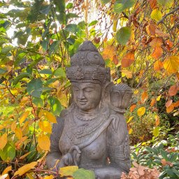 Z seri Magic Garden … to nie Indie to Wola Justowska Kraków. Orginalne hinduistyczne rzeźby bogów z Bali (w okolicy tony każda)