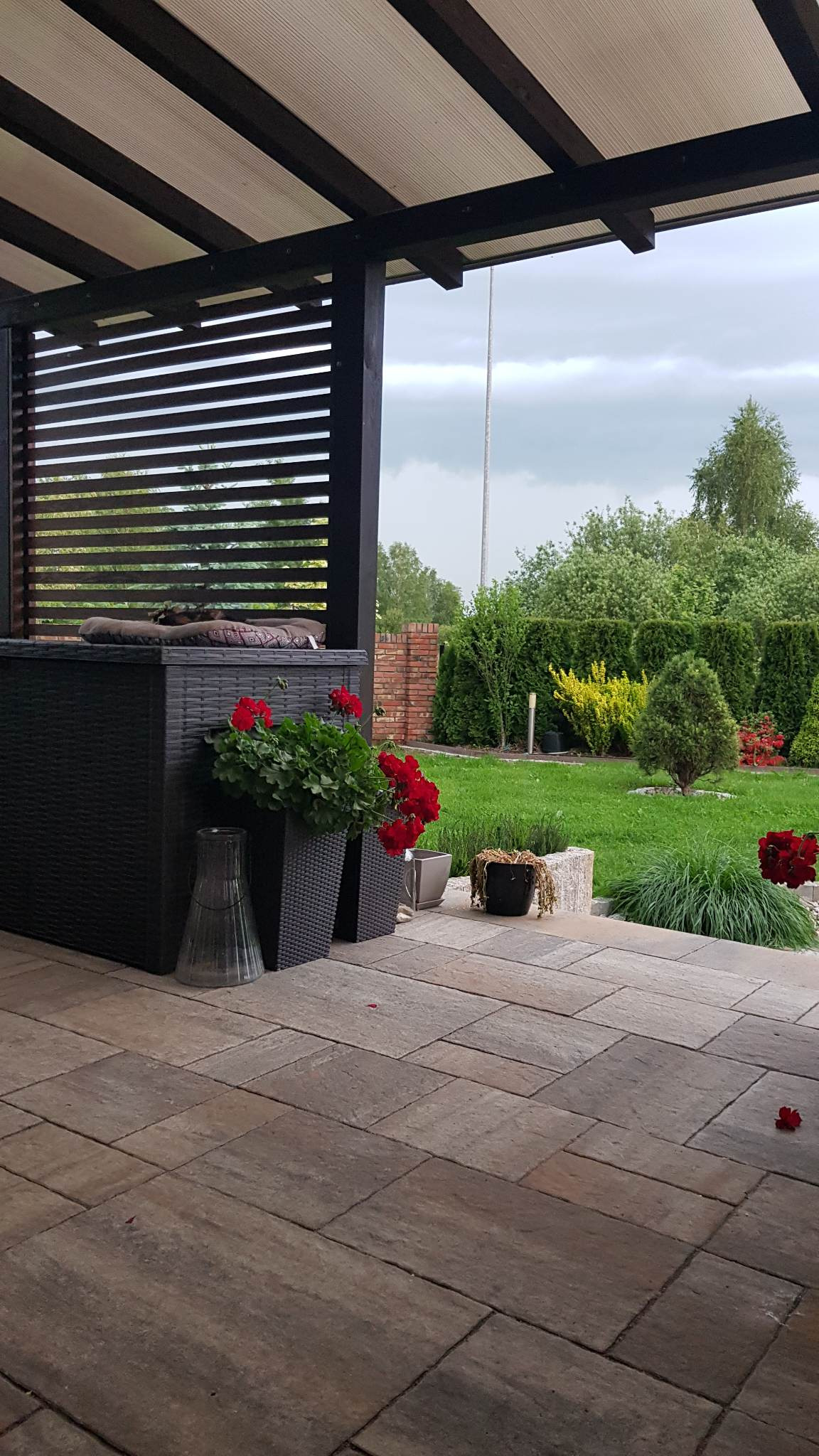 Zadaszony taras z drewnianą pergolą, wyłożony kostką brukową, z czarnymi donicami z czerwonymi kwiatami i szklanym wazonem, widok na zadbany ogród z tujami i trawnikiem.