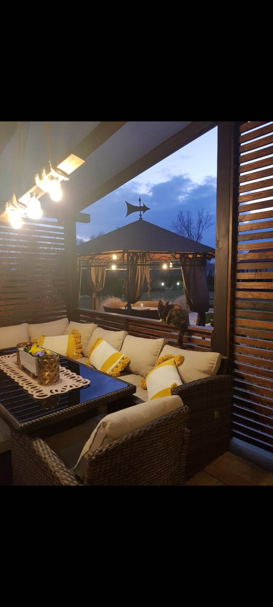 Zadaszony taras z meblami rattanowymi, poduszkami z żółtymi akcentami i dekoracjami kwiatowymi na stole; w tle widoczna pergola z oświetleniem i kotem siedzącym na barierce.