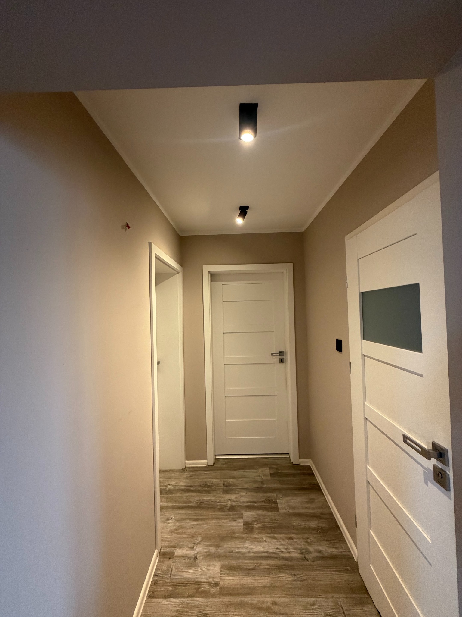 Wykończony korytarz w neutralnych barwach: beżowe ściany, białe drzwi z przeszkleniami, drewnopodobna podłoga i nowoczesne, czarne lampy sufitowe.