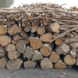 Brykiet węglowy aswys 1