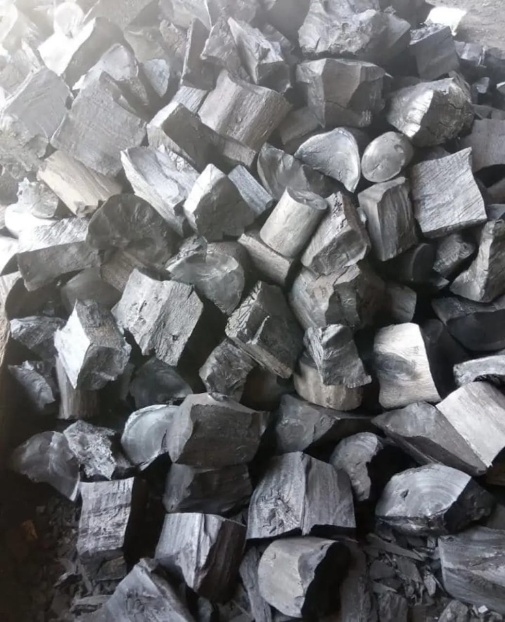 Casuarina węgiel drzewny i pomarańcze węgiel.