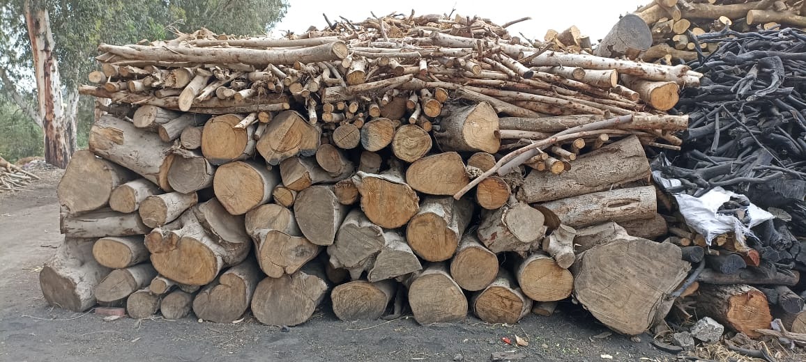 Stos drewna opałowego i węgla drzewnego na zewnątrz, widoczne pnie i gałęzie w różnych odcieniach brązu i czerni.