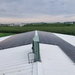 Panele słoneczne na białym dachu budynku gospodarczego, w tle rozległe uprawy sadownicze i pochmurne niebo.