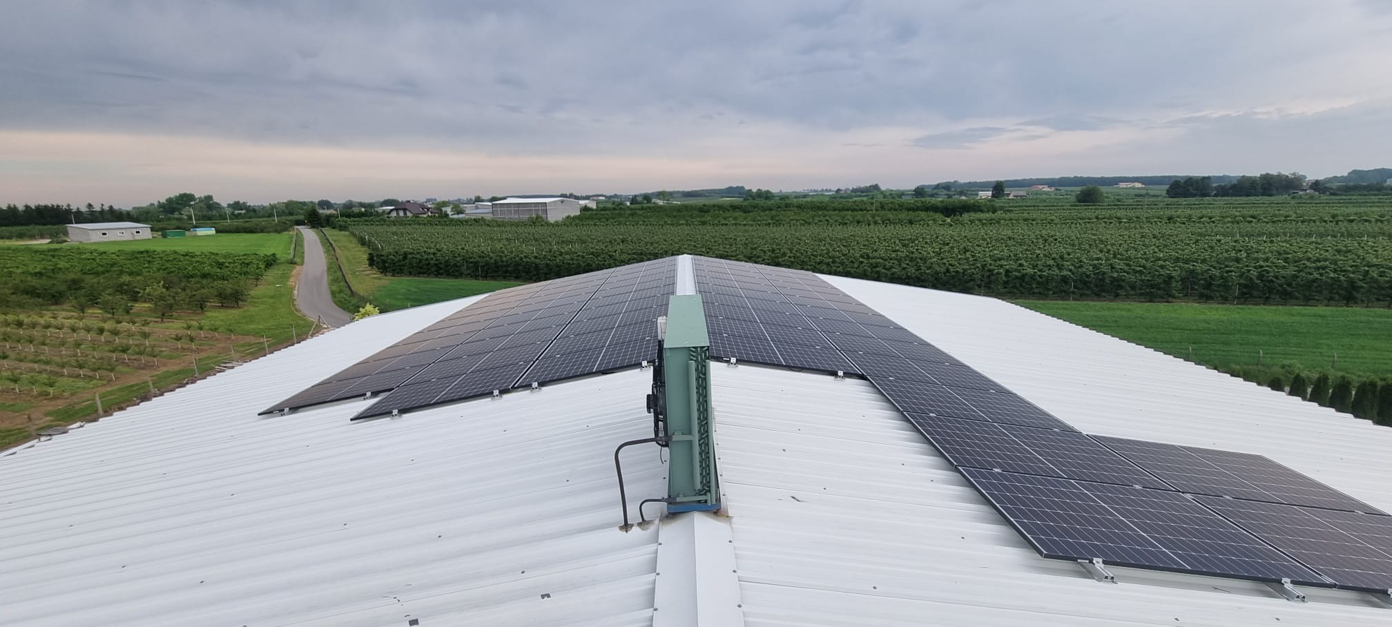 Panele słoneczne na białym dachu budynku gospodarczego, w tle rozległe uprawy sadownicze i pochmurne niebo.